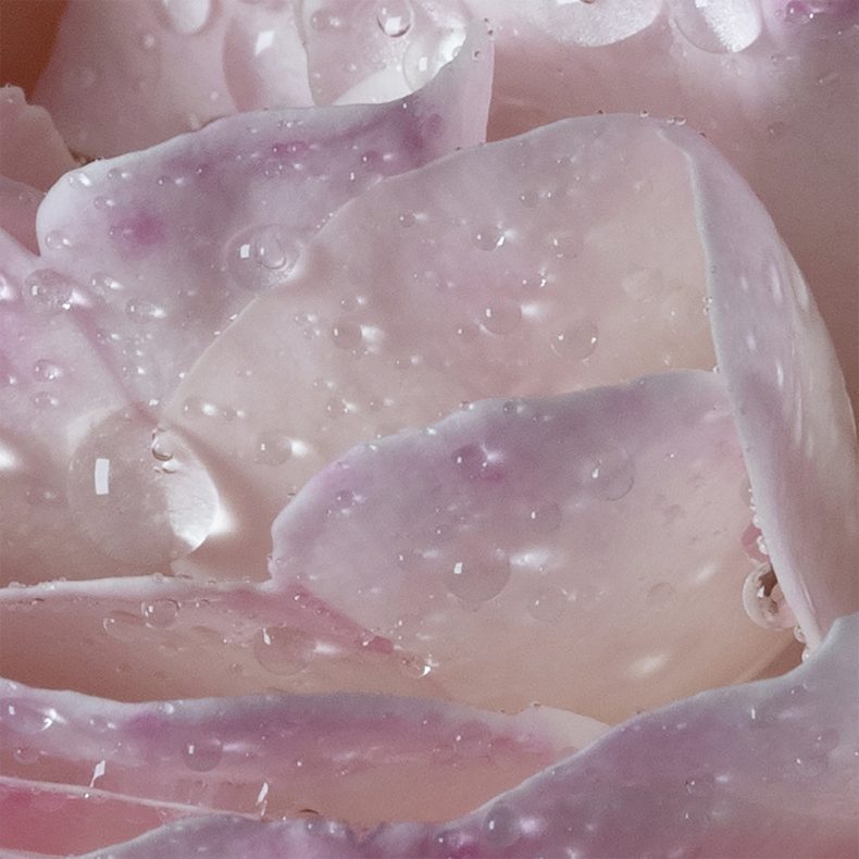 Maison Francis Kurkdjian – L’eau À la rose EdT 35ml – Bild 4