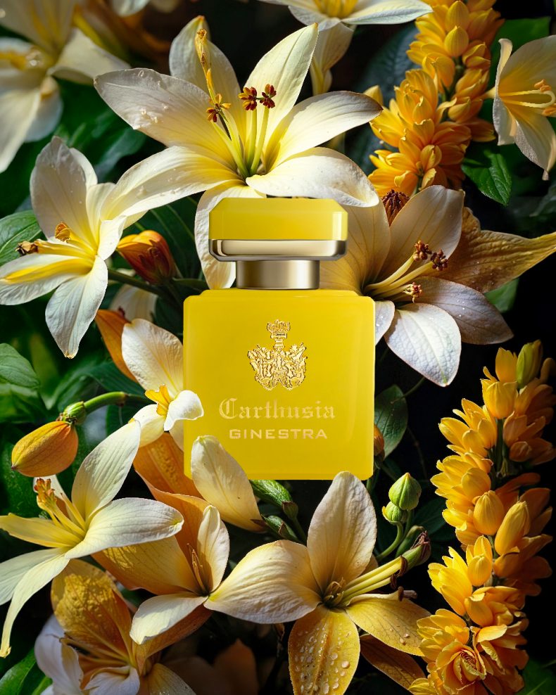 Carthusia - Intenso Collection - Intenso di Ginestra EdP 50ml – Bild 3